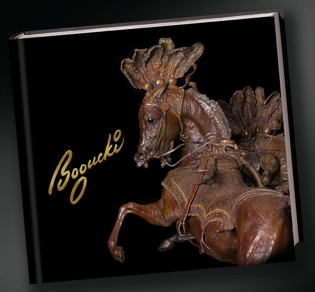 The Life and Work of Edwin Bogucki Book Cover